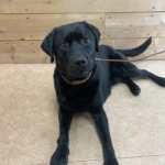 7/14　グルーミング