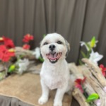 7/16　グルーミング