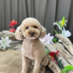 7/21 グルーミング