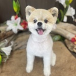 7/23　グルーミング