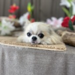 7/25　グルーミング