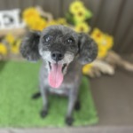 7/26　グルーミング