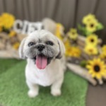 7/27　グルーミング