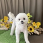 7/28　グルーミング