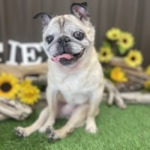 7/30　グルーミング