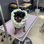 7/29　グルーミング