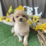 8/16　グルーミング