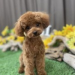 8/19　グルーミング