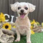 8/20　グルーミング