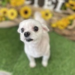 8/22　グルーミング