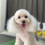 8/23　グルーミング