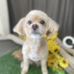 8/24　グルーミング