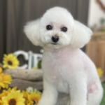 8/25　グルーミング