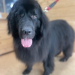 8/26　グルーミング