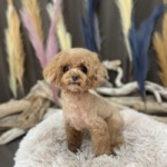 8/27　グルーミング