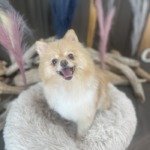 8/30　グルーミング