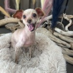 8/31　グルーミング