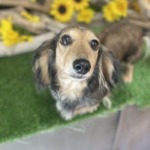 8/3　グルーミング