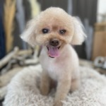 9/5　グルーミング