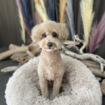 9/6　グルーミング