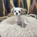 9/7　グルーミング