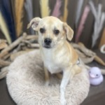 9/8　グルーミング