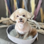 9/10　グルーミング