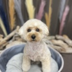 9/12 グルーミング