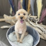 9/13 グルーミング