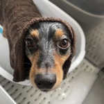 9/14 グルーミング