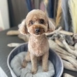 9/15　グルーミング