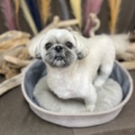 9/18　グルーミング