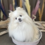 9/20　グルーミング