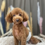 9/23　 グルーミング