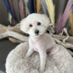 9/24　グルーミング