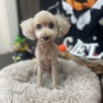 10/3　グルーミング