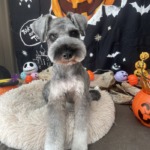 10/9　グルーミング