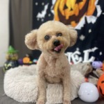 10/10　グルーミング