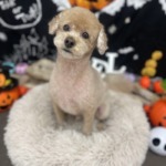 10/11　グルーミング