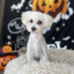 10/12　グルーミング