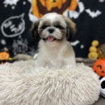 10/13　グルーミング