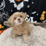 10/16　グルーミング