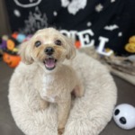 10/22　グルーミング