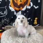 10/23　グルーミング