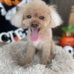 10/24　グルーミング