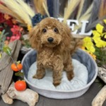 10/25　グルーミング