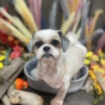 10/26　グルーミング