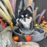 10/27　グルーミング