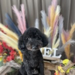 10/29 グルーミング