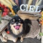 10/30　グルーミング